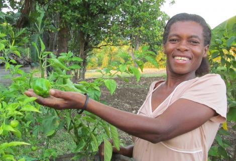 Femme récoltant des poivrons dans son jardin potager