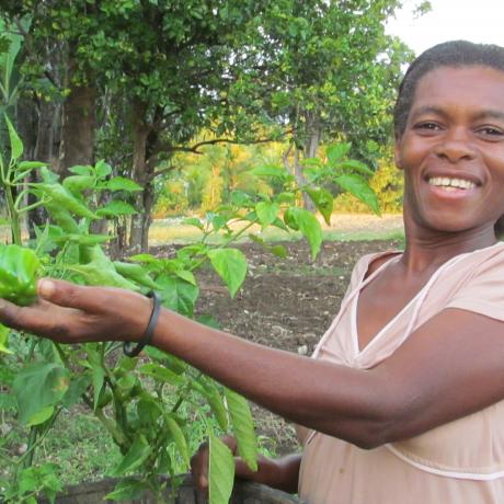 Femme récoltant des poivrons dans son jardin potager