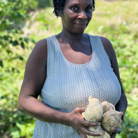 Patricia, l'une des bénéficiaires du projet PARAGA, récoltant de la patate douce dans son jardin. 