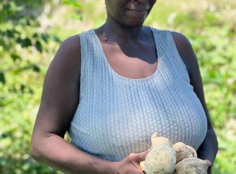 Patricia, l'une des bénéficiaires du projet PARAGA, récoltant de la patate douce dans son jardin. 