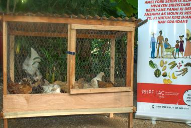 Vue de poules distribuees